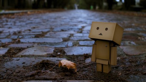 Danboard, коробки, робот, тротуар, листья, осень, клен