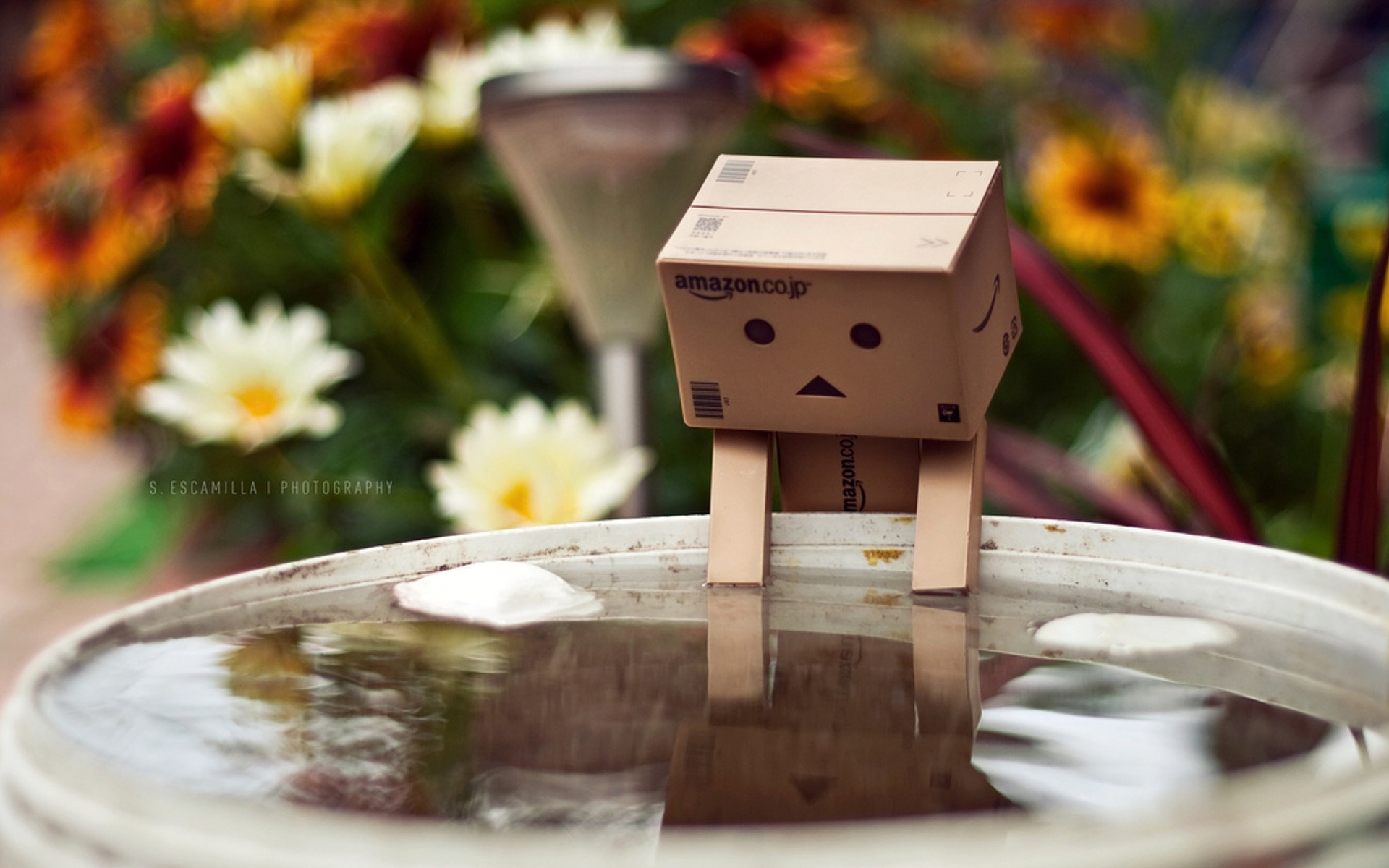Картинки Danboard, коробки, робот, вода, цветы, плавание фото и обои на рабочий стол