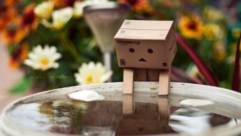 Danboard, коробки, робот, вода, цветы, плавание