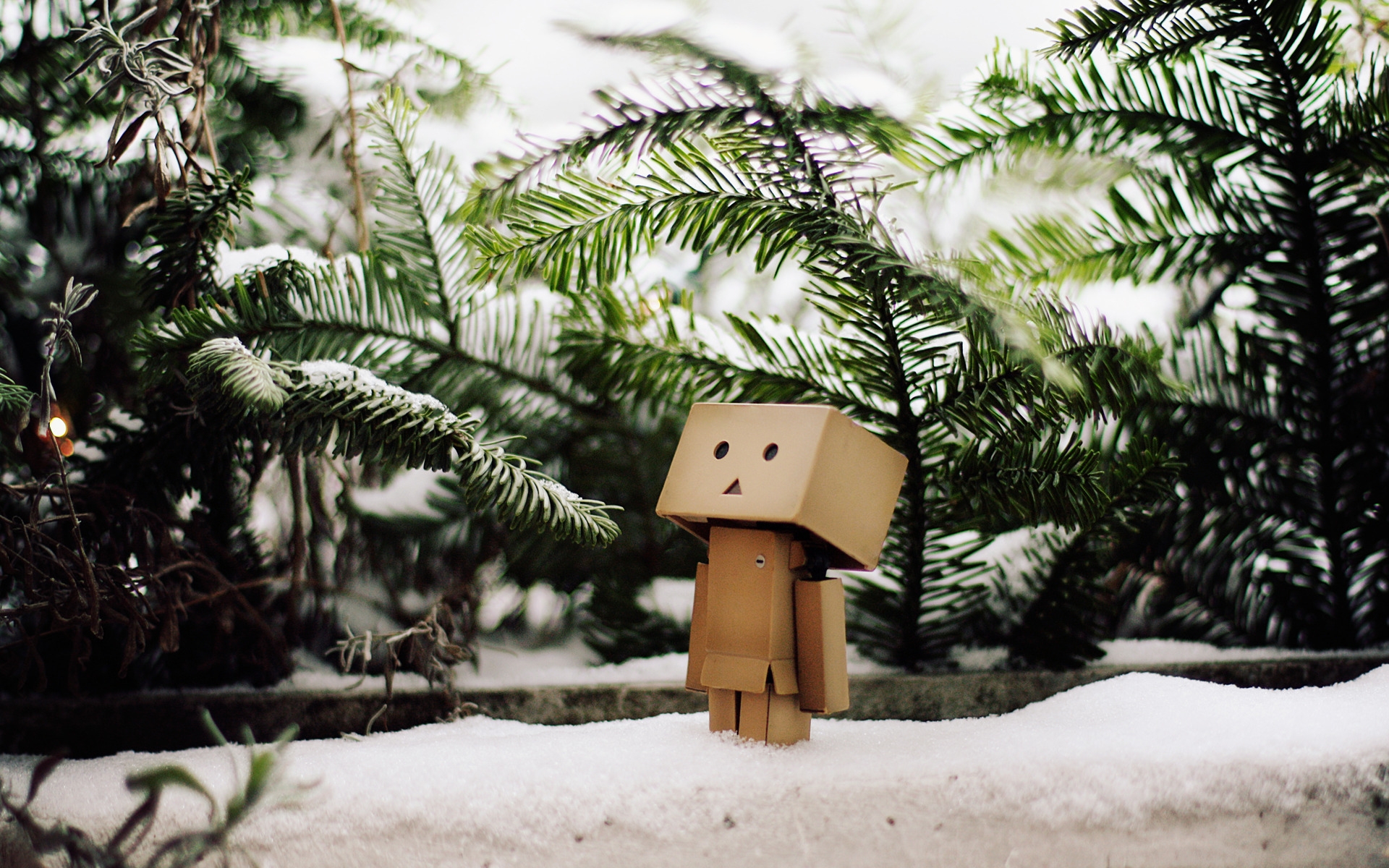 Картинки Danboard, коробки, робот, настроение, снег, грязь, ожидание фото и обои на рабочий стол