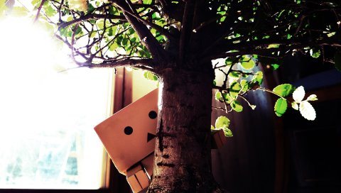 Danboard, дерево,