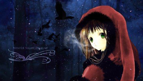 Adumi tohru, девушка, холод, птицы
