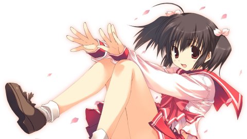 Mitsumi Мисато, к сердцу 2, yuzuhara Konomi, девушка, брюнетка, осень, лепестки