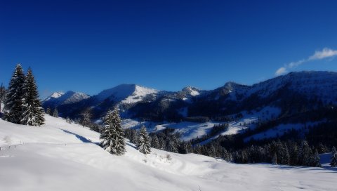 зимой, дерево, хвойные, снег, покрытие, ковровое покрытие, горы