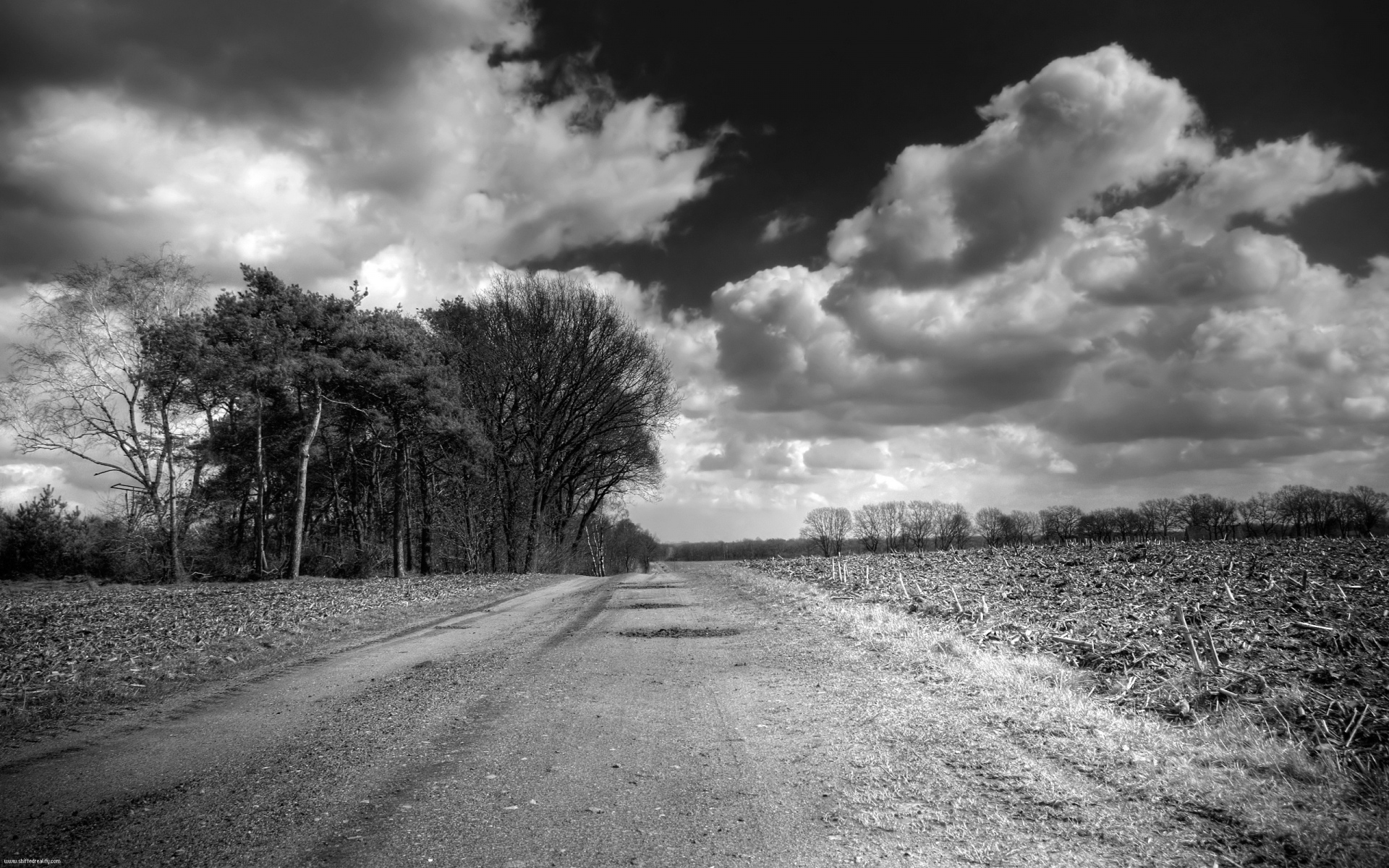 Картинки дорога, страна, черно-белый, деревья, облака, объем фото и обои на рабочий стол
