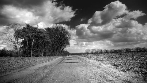 дорога, страна, черно-белый, деревья, облака, объем