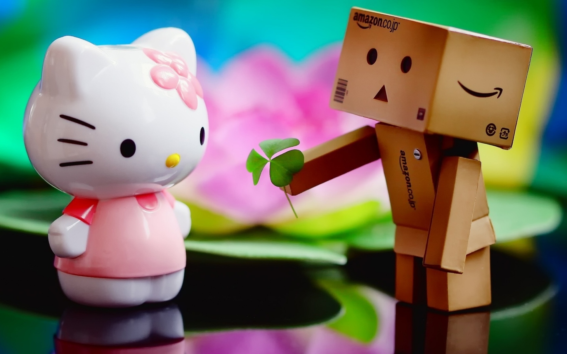Картинки danboard, котенок, листья, растения, подарок, дружба фото и обои на рабочий стол