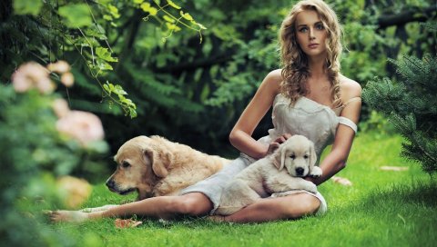 Блондинка, модель, платье, собака, трава, фотосессия, макияж