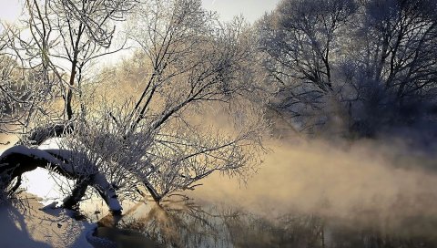 Туман, река, дерево, лед, холод, мороз, испарение, рассвет, утро, иней