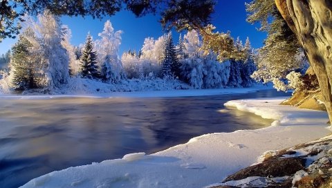 Река, холод, лед, берег, иней, лес, замороженный, ясно