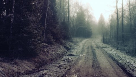 Дорога, страна, бассейны, мрачный, секретный, дерево