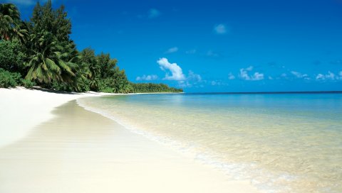 Пляж, тропики, песок, белый, пальмы, расслабиться