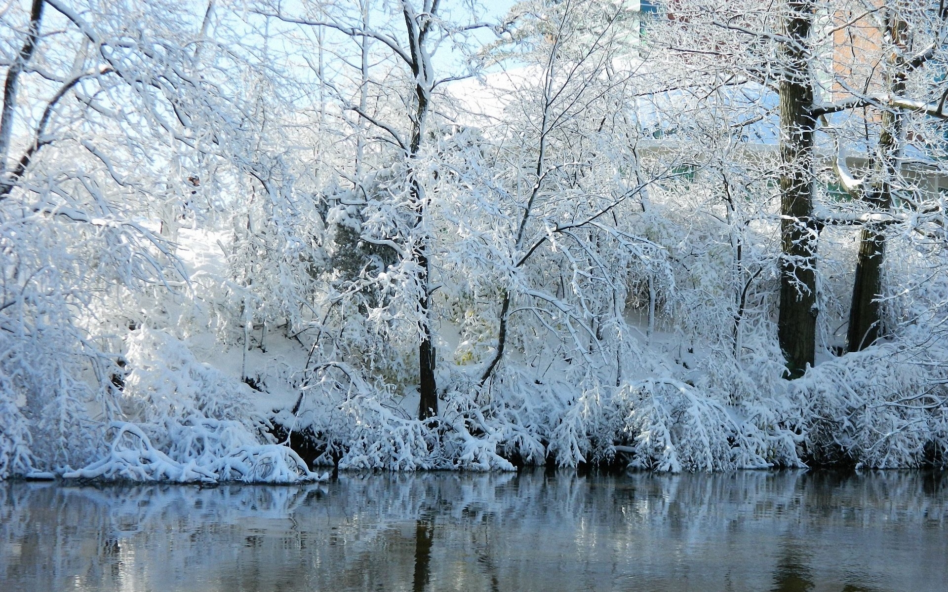 Картинки Зима, река, побережье, осень, снег, иней фото и обои на рабочий стол