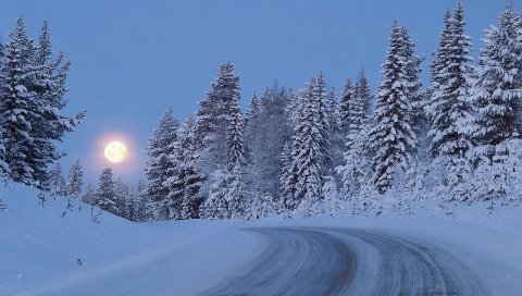 Полная луна, ночь, небо, дорога, подъем, снег, лес, деревья