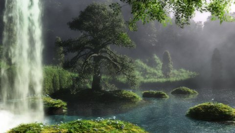 Падает, дерево, вода, ручей, трава, цветы, заповедник