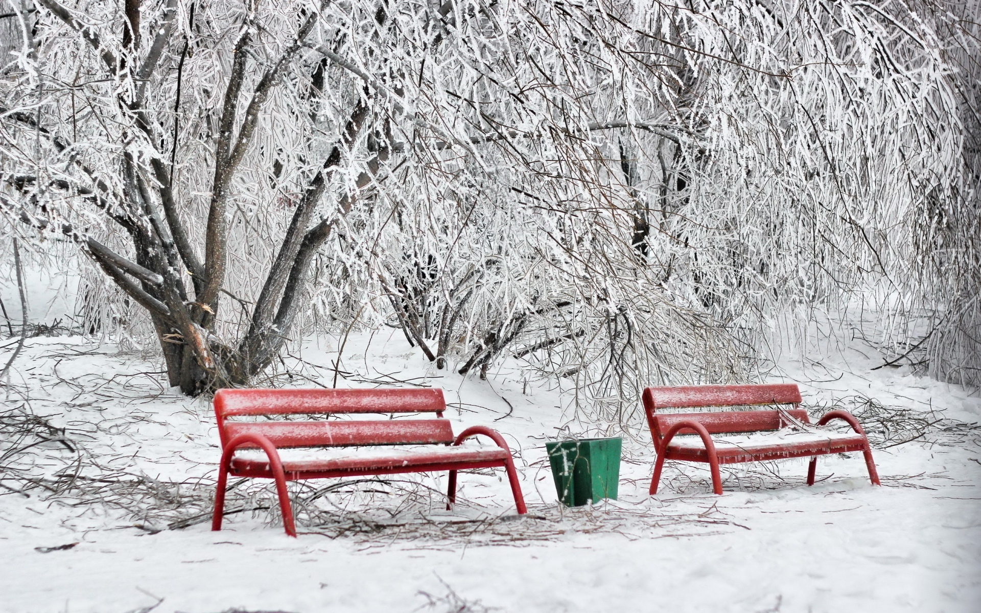 Картинки Скамейки, зима, иней, снег, холод, урна для голосования, красный фото и обои на рабочий стол