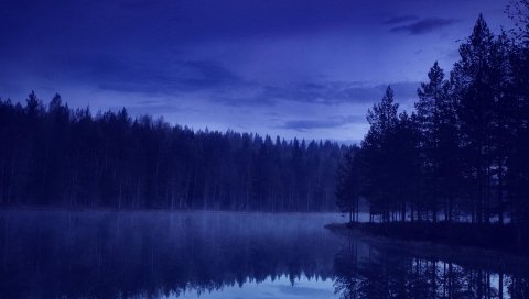 Вода, лес, пляж, ночь, отражение