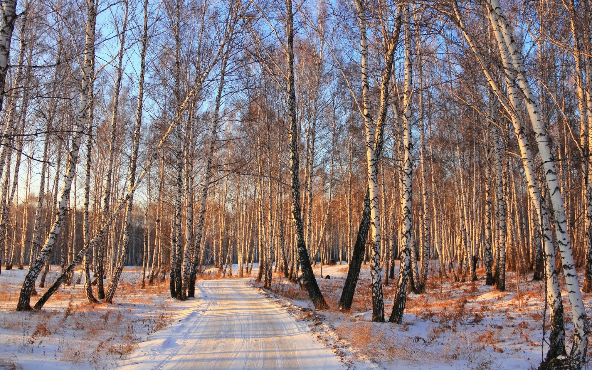 Картинки Дорога, лес, березовая роща, зима, свет фото и обои на рабочий стол