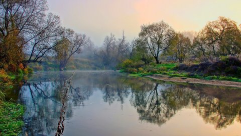 Река, берег, деревья, туман, утро, пейзаж, пробуждение