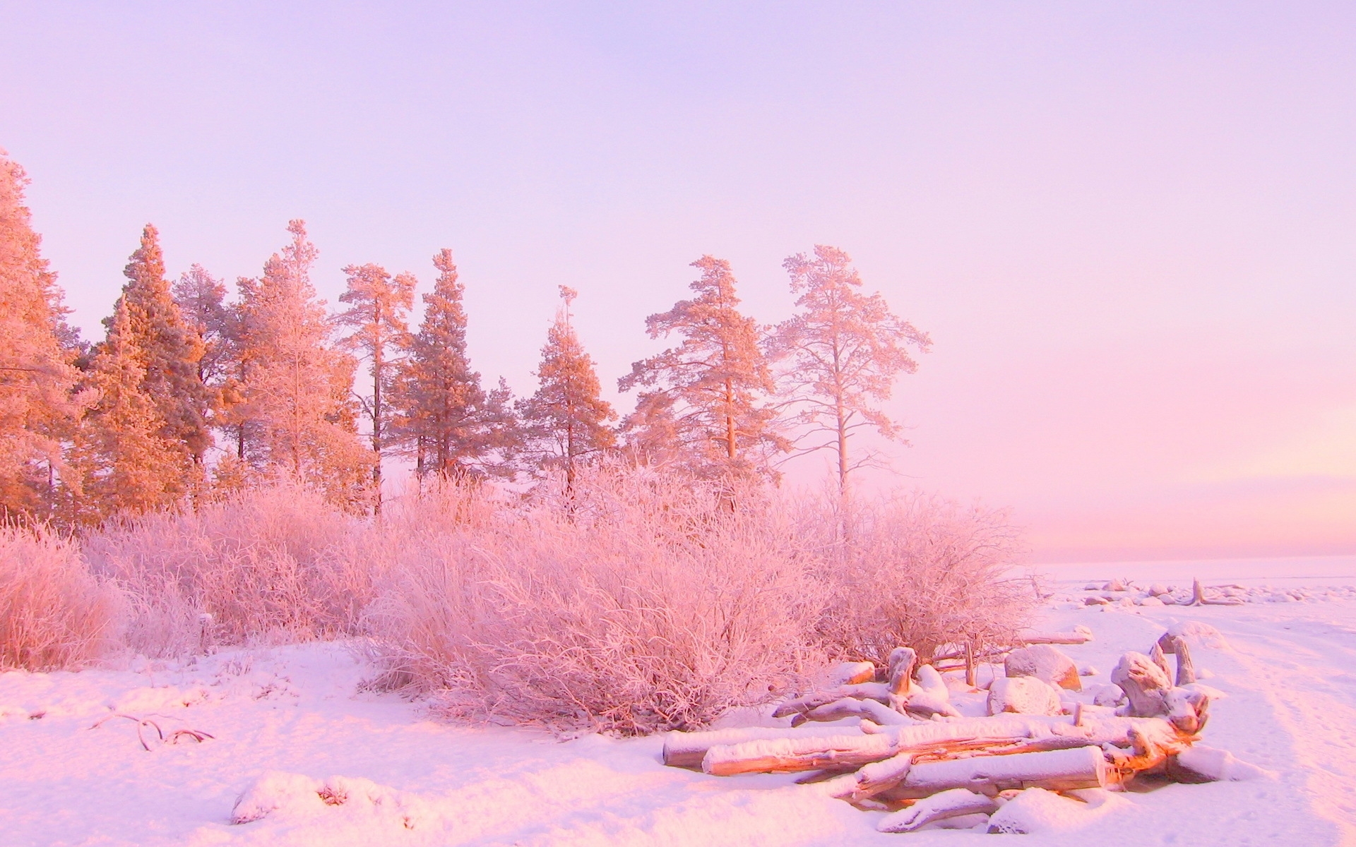 Картинки Зима, деревья, снежные заносы, бревна, в декабре, свет фото и обои на рабочий стол