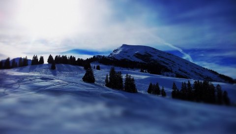 Горы, снег, ель, свет