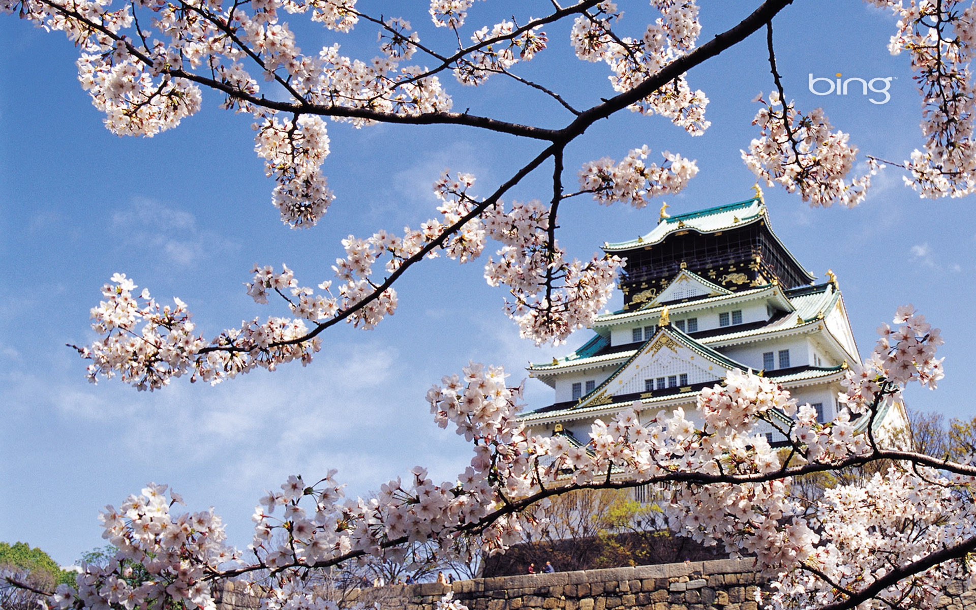 Картинки Весна, вишня, цвести, дворец, Япония, архитектура фото и обои на рабочий стол