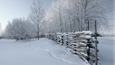 Забор, снег, зима, дорожки, обложка