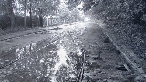 Лужи, дорога, трамвай, улица, тротуар, черно-белый