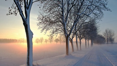 Дорога, деревья, зима, снег, свет, утро, туман, пробуждение