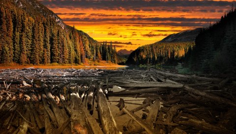 Дерево, бревна, вода, пересечение, цвета, сплав