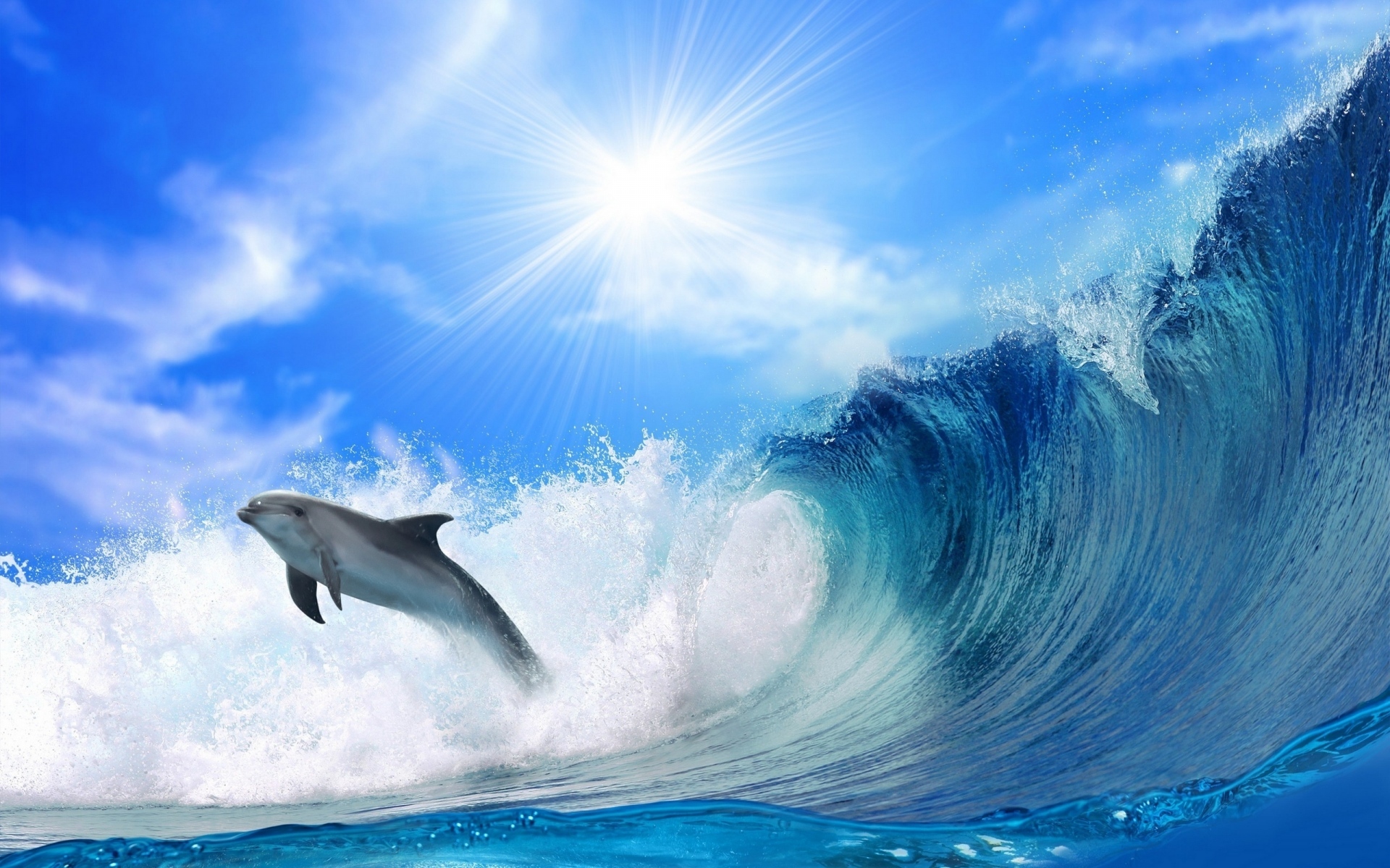 Картинки Дельфин, волны, свет, прыжок фото и обои на рабочий стол