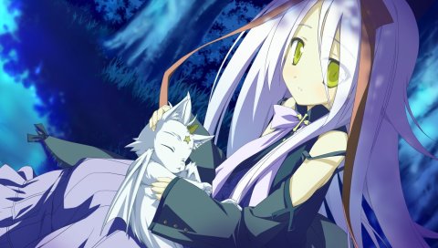 Hoshizora no memoria, девушка, кошка, ночь