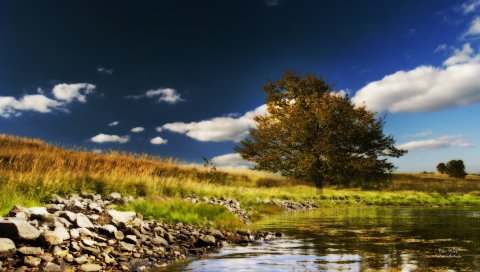 Дерево, озеро, камни, побережье, одиночество, краски, цвета, подпись