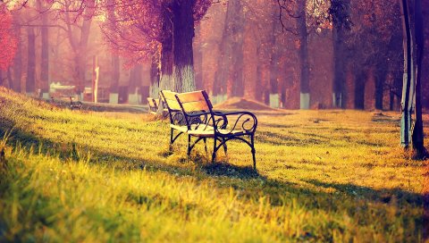 Скамейки, вечер, свет, романтизм, парк, осень, тени, пара