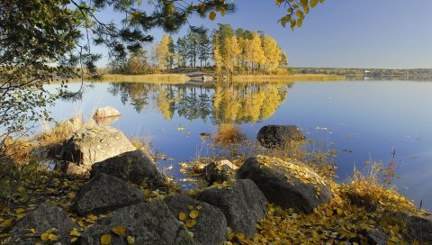 Осень, камни, деревья, листья, березы, озеро, остров, побережье