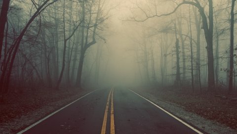 Дорога, дерево, туман, маркировка, линии, мистика, загадка, дымка