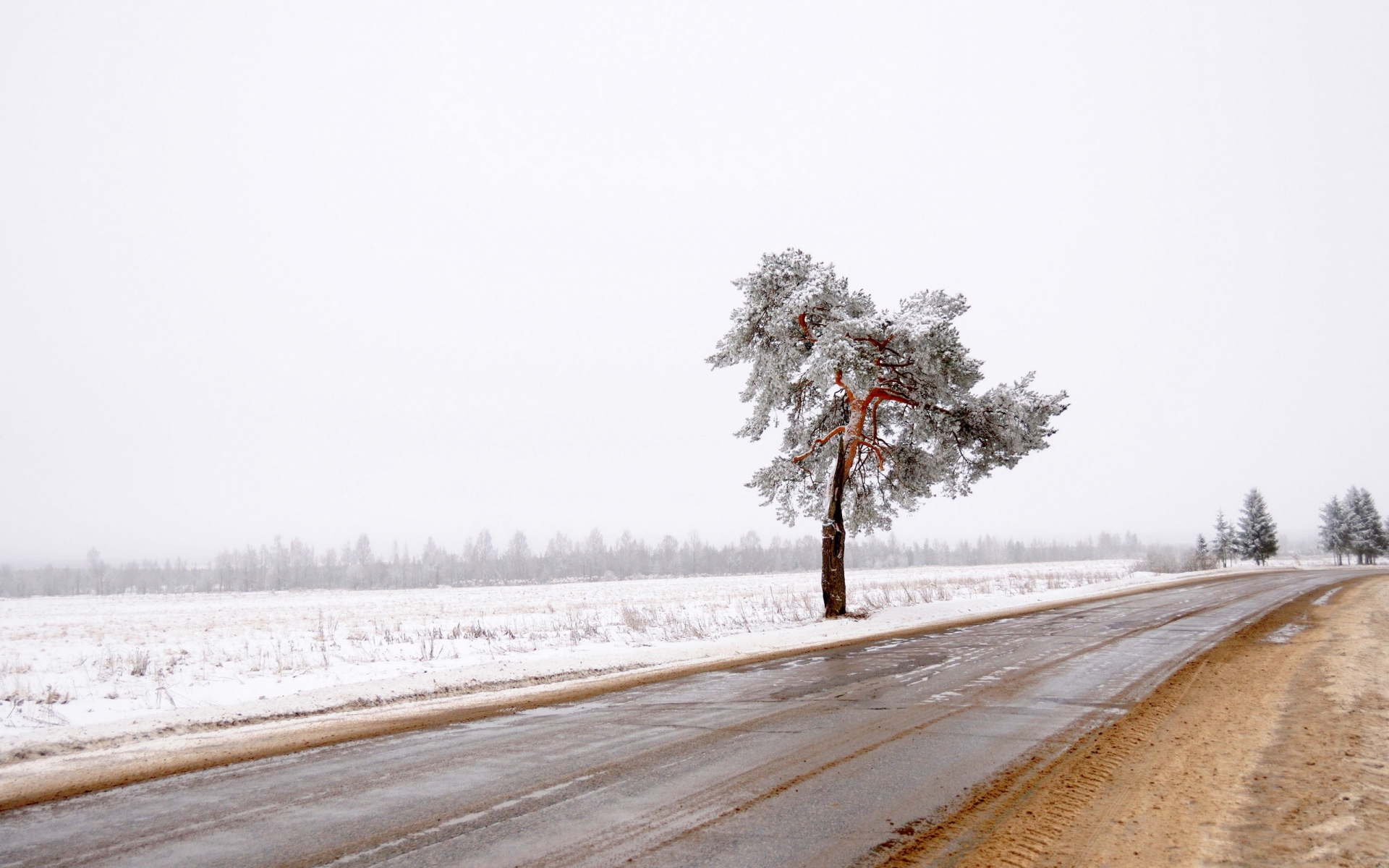 Картинки Дерево, дорога, одиночество, снег, грязь фото и обои на рабочий стол