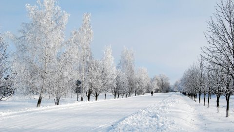 Зима, снег, дорога, проспект, деревья, человек