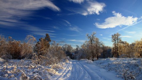 Зима, снег, дорога, следы, кусты, деревья, сугробы, облака, небо ясно