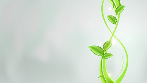 Растения, зеленый, аннотация, листья, узоры, яркие, блики
