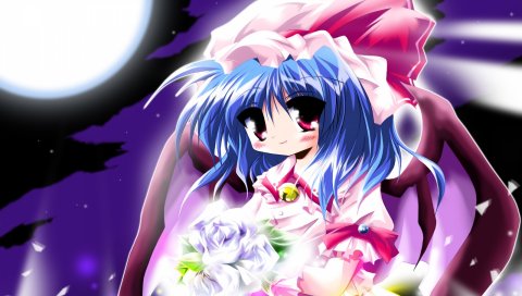 Алый touhou, девушка, улыбка, букет, луна