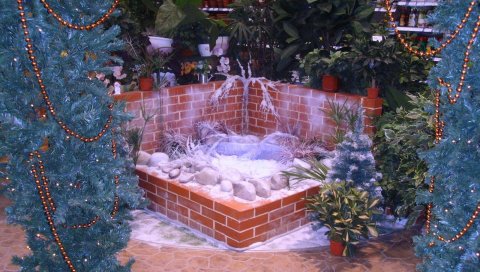 Рождественские елки, украшения, цветы, магазин, праздник