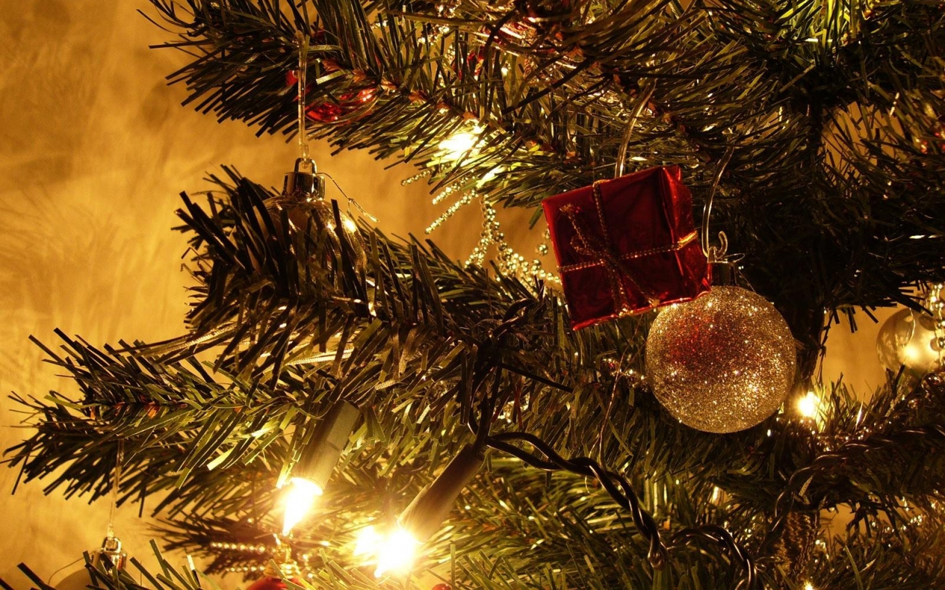 Ель рождество огни Spruce Christmas lights загрузить