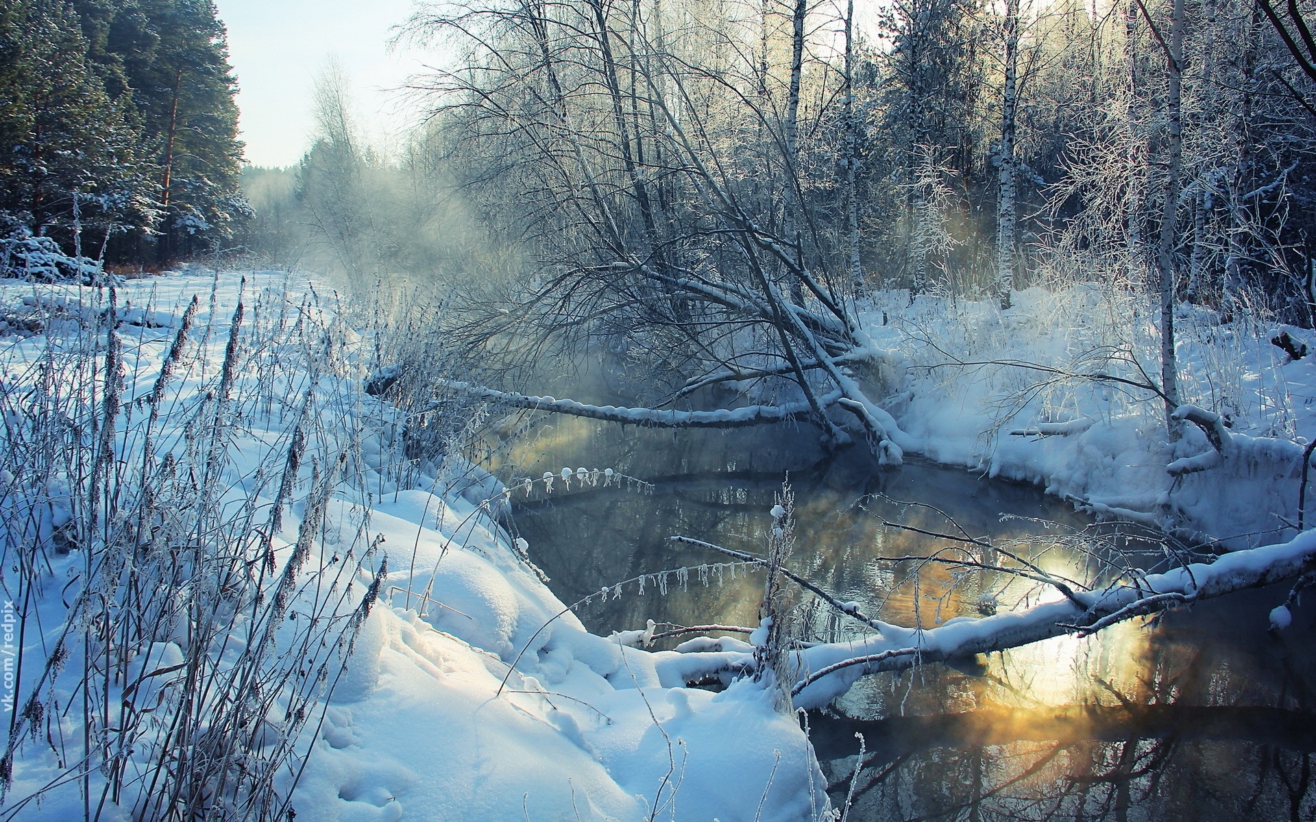 Картинки Зима, река, снег, побережье, иней, пейзаж, утро, дерево фото и обои на рабочий стол