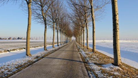 Дорога, дорога, деревья, линия, асфальт, горизонт