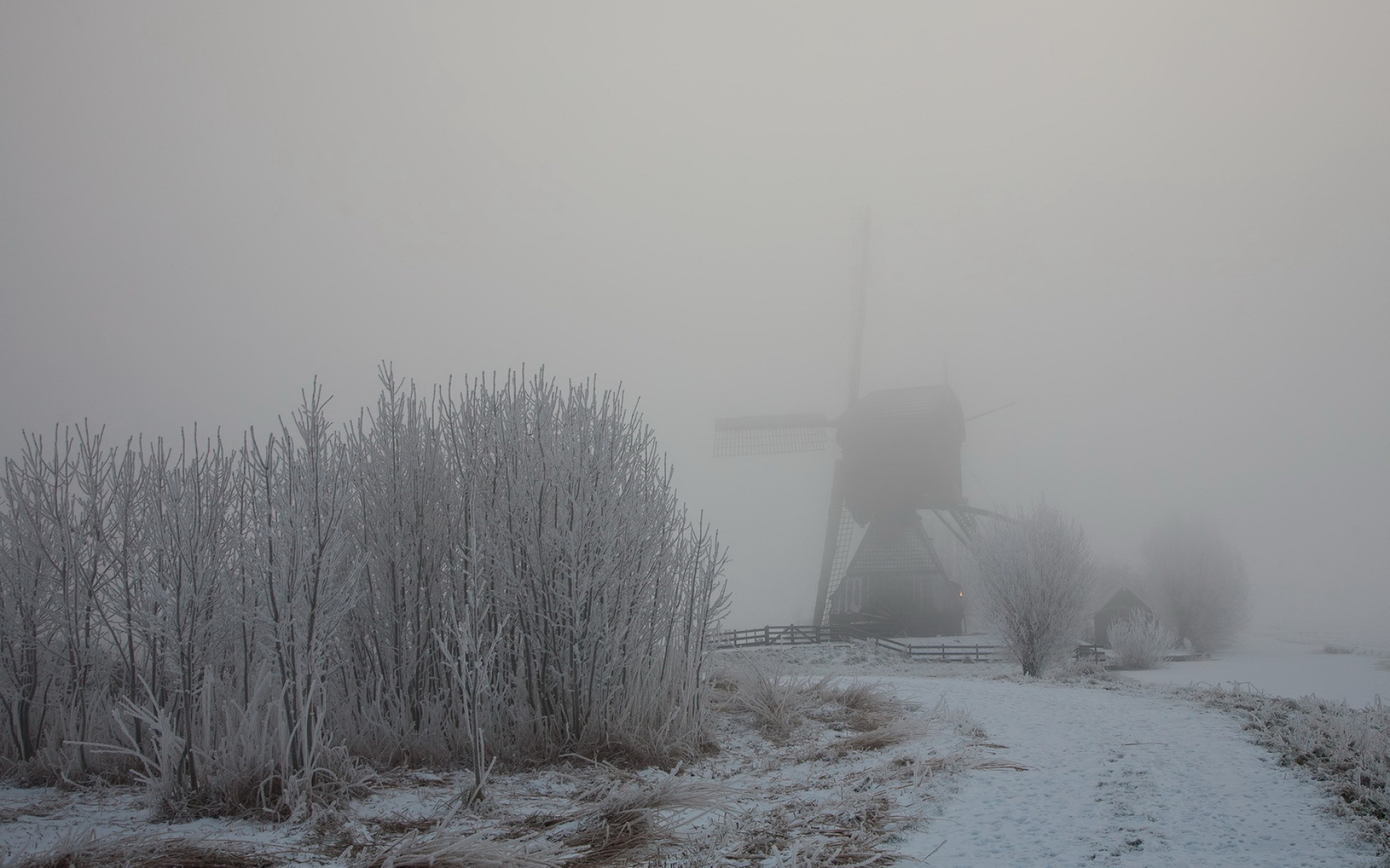 Картинки Туман, туман, зима, мельница, кусты, снег, иней фото и обои на рабочий стол