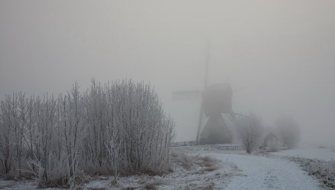 Туман, туман, зима, мельница, кусты, снег, иней