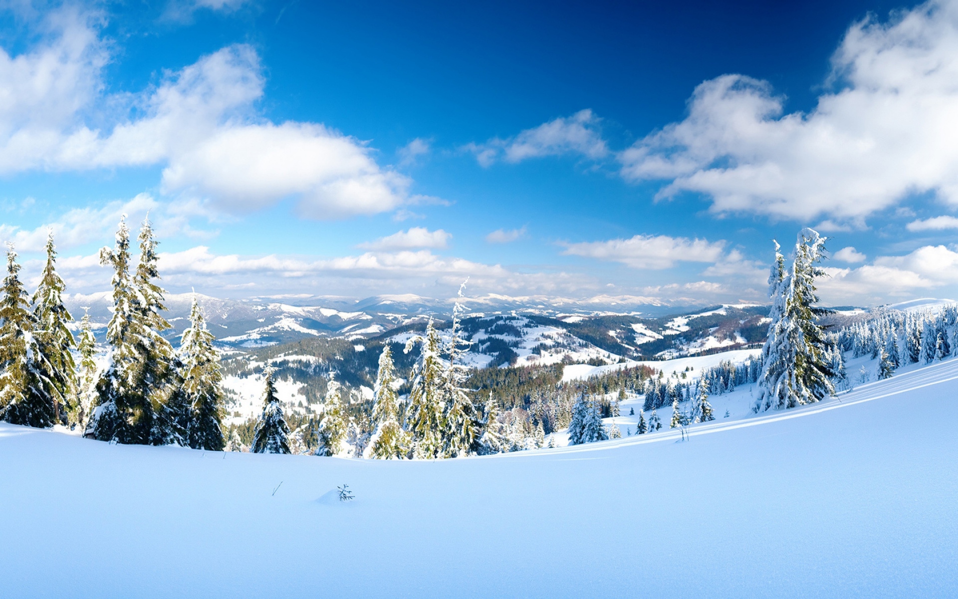 Картинки Сугроб, снег, высота, деревья, взгляд фото и обои на рабочий стол