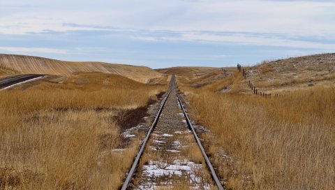 Рельсы, поле, железная дорога, дорога