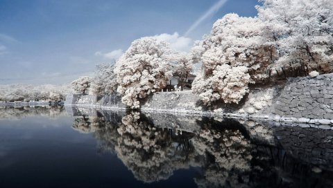 Япония, берег, река, камень, деревья, пейзаж, небо, цвета